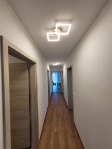 Fotografie z fotogalerie ubytování Apartment an der Donau v destinaci Krumnussbaum