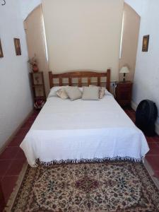 ビージャ・パルケ・シキマンにあるMIRADOR DEL LAGO - La Vistaのベッドルーム(大きな白いベッド、ラグ付)