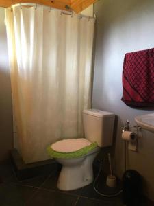 een badkamer met een toilet en een douchegordijn bij Carelhue in Epuyén