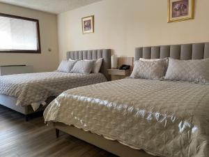 1 Schlafzimmer mit 2 Betten und einem Fenster in der Unterkunft The 22 Hotel in Cremona