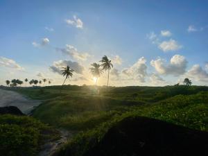 a group of palm trees in a field with the sunset at Casa de praia Enseadas do corais - 20 metros da praia in Cabo de Santo Agostinho +26 photos