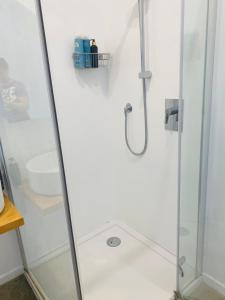 ducha con puerta de cristal y lavamanos en Stay at the art gallery en Mapua