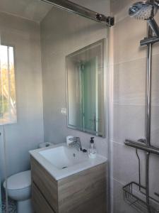 La salle de bains est pourvue d'un lavabo, de toilettes et d'un miroir. dans l'établissement Villa Berlín, à Miami Platja