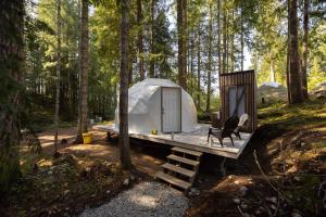 uma tenda na floresta com um banco e uma cadeira em Stay Wilder Sunshine Coast em Sechelt