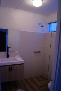 uma casa de banho com um lavatório e um chuveiro em Casita Marlín Quepos em Quepos