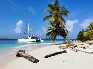 una playa con un barco y una palmera en El Más Grande Catamarán de San Blas - TODO INCLUIDO - en Isla Wichitupo Grande