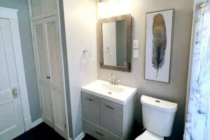 a bathroom with a toilet and a sink and a mirror at Perfect! near CLE Clinic/Case/UH/Downtown! in Cleveland