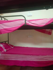 a bedroom with a bunk bed with pink sheets at J Rooms&Dormentary in Madurai