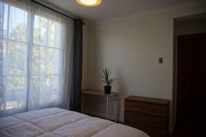 a bedroom with a bed and a window with a potted plant at Casa CasCal in Santiago