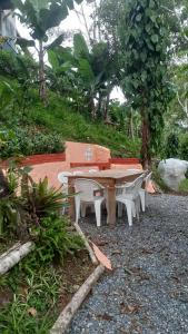 - une table de pique-nique et des chaises dans le jardin dans l'établissement Kitnet em meio à mata Atlântica, à Juquitiba