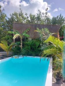 斯島的住宿－Polita Tiny House, con piscina, a 200m de la playa，一座种植了植物的游泳池以及木栅栏