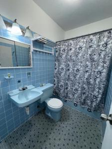 uma casa de banho com um lavatório, um WC e uma cortina de chuveiro. em 176 Calle Perez (4B2) em San Juan