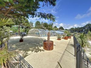 un jardín con una palmera en un invernadero en Chalet Jullouville, 4 pièces, 6 personnes - FR-1-361-484, en Jullouville-les-Pins