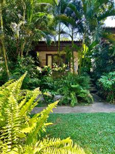 a garden with lush green plants and a building at Wave-F in Ko Kood