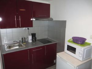 eine kleine Küche mit einer Spüle und einer Mikrowelle in der Unterkunft Appartement Porte Évêque in Avignon