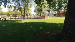 um parque com uma árvore e um baloiço em Cabañas Rusticas ElAire 