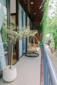 eine Veranda mit Rattanstuhl und Pflanze in der Unterkunft Boom Casa Homestay in Hue