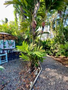 un giardino con tavolo e palma di Hotel Exotic Lodge a Puerto Viejo