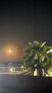 Photo de la galerie de l'établissement Can Altavista, à Puerto del Rosario