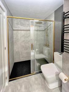 een badkamer met een douche en een toilet bij River Deluxe con Garaje gratis in Bilbao