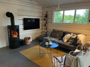 a living room with a couch and a fireplace at A Cozy Retreat Close to Lake in Hjärnarp