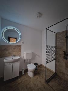 La salle de bains est pourvue de toilettes, d'un lavabo et d'un miroir. dans l'établissement Vila AliBi Valiug - 200m from Ponton Casa Baraj, à Văliug