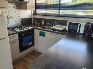 uma cozinha com um lavatório, um fogão e um micro-ondas em APPARTEMENT EN PLEIN CENTRE VILLE PESSAC AVEC 3 CHAMBRES em Pessac