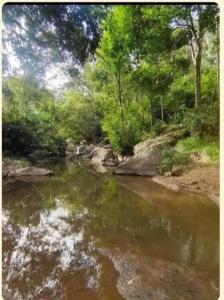 ein Wasserlauf mit Bäumen und Felsen in der Unterkunft Suryas farm stay in Devikolam