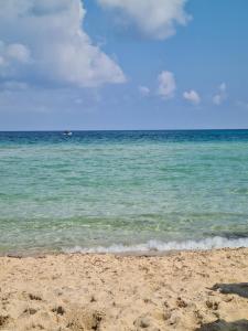 a beach with the ocean and a boat in the water w obiekcie La Loggia dei Re w mieście Palermo