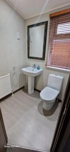 a bathroom with a white toilet and a sink at Castlewood lodge in Banchory