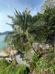 a palm tree sitting next to a beach with chairs at HIP Seaview Resort @ Phi Phi in Phi Phi Islands