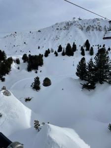 a snow covered mountain with trees and a ski lift at Appartement Plagnes Villages in La Plagne Tarentaise