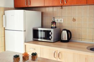 a kitchen with a microwave and a refrigerator at Guest House Sani in Skopje