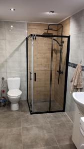 a bathroom with a shower and a toilet at DOM ZA STUDNIĄ Góralski dom w Ochotnicy Dolnej in Ochotnica Dolna