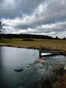 eine Person in einem Wasserkörper neben einem Dock in der Unterkunft Klidná lokalita Na kraji lesa, celý dům s úschovnu kol in Nová Bystřice + 46 Fotos