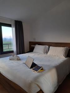 una camera con un letto e un computer portatile di BRIXELLUM a Brescello
