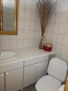 ルカにあるRukaRinteläのトイレ、洗面台、鏡のあるバスルーム +15枚の写真