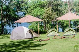 three tents in the grass under umbrellas at Nile Park Jinja in Jinja