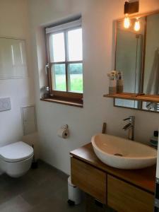 a bathroom with a large sink and a toilet at Appartements Käthe in Faak am See