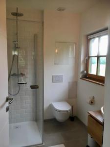 a bathroom with a toilet and a glass shower at Appartements Käthe in Faak am See
