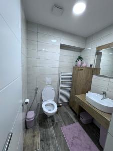 a bathroom with a toilet and a sink at Pannonica Apartman B in Tuzla