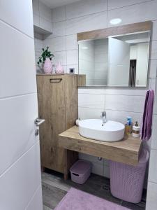 a bathroom with a sink and a mirror at Pannonica Apartman B in Tuzla