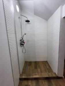 a shower with a glass door in a room at Casa Silvia in Cluj-Napoca