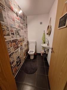 a bathroom with a toilet and a sink at Apartment GREEN&URBAN in Celje