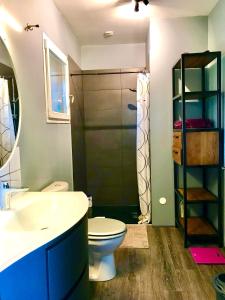 a bathroom with a toilet and a shower and a sink at Chambre Espigarie in Le Vigan