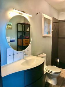 ル・ヴィガンにあるChambre Espigarieのバスルーム(洗面台、トイレ、鏡付)
