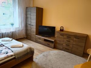 Televízia a/alebo spoločenská miestnosť v ubytovaní apartament Sowińskiego