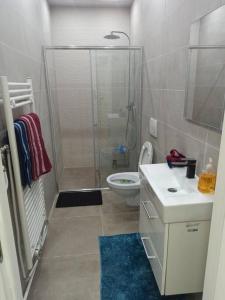 een badkamer met een douche, een toilet en een wastafel bij ANTWERP Charming Studio in Antwerpen