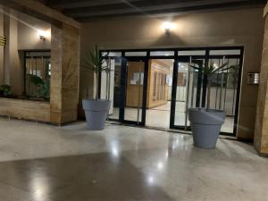 Deux grandes plantes en pot devant un bâtiment dans l'établissement charmant appartement a oran gambetta pour famille, à Oran