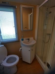 a bathroom with a toilet and a sink and a shower at Carnival Our lovely home from home in Great Yarmouth